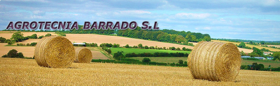 Campo Asesorado en Alcalá la Real