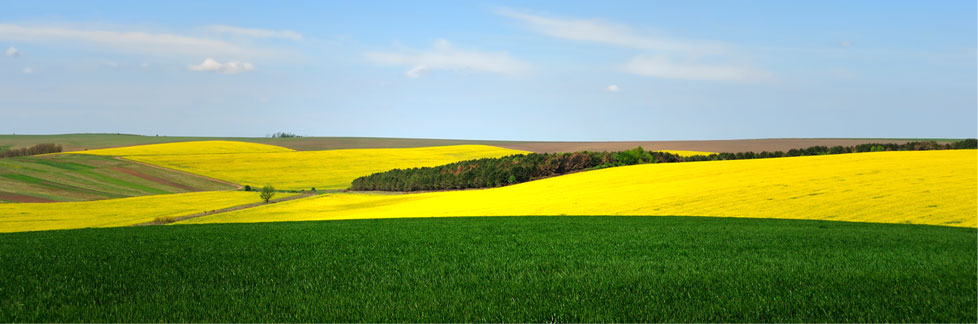 Agricultura Tecnicas